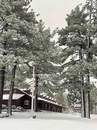 $100 And Up. Cabins, Motels, Forest, Mountains, Views, Hiking (Mount Laguna, CA 91948)63998602572546121
