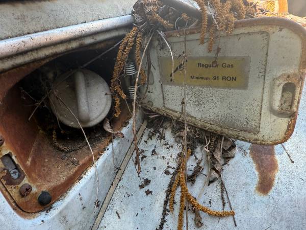 1969 Original VW Volkswagen Bug - $3,300 (La Mesa)63476328028931122