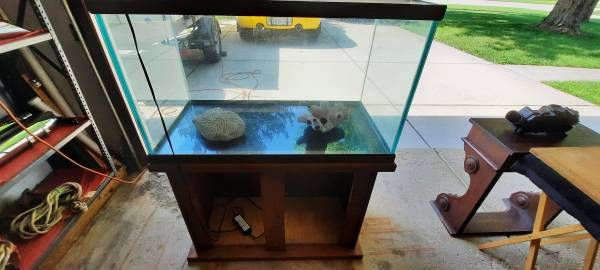 55 gallon aquarium 1