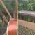 Harmony Opus 5 (V) guitar, all solid wood, X-braced, USA-made c. 1975 14 thumbnail