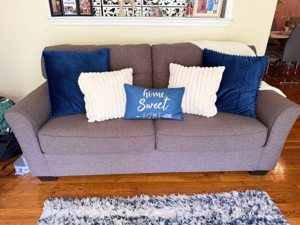 Full Sleeper Sofa 1
