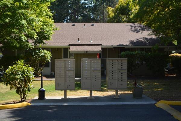 $1,250 / 2br - 770ft2 - Lavaplatos, ventiladores de techo en algunas unidades, apto para mascotas (Lacey)63688462397697122