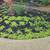 CUTTING EDGE LANDSCAPING SERVICES..A cut above the rest 16 thumbnail