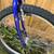 Miele Blue Mountain Bike 8 thumbnail