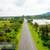 Terreno Comercial, Jocotepec 7 thumbnail