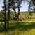 10.06 Acres with AG Water Rights 2 thumbnail