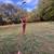 Recurve bows 1 thumbnail