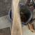 1 inch thick to 3 inch thick Walnut Short Slabs 18 thumbnail