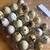 Quail egg 4 thumbnail