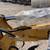 2025 SDlanch SDLE20 Mini Hydraulic Excavator Yanmar Diesel # 4539 11 thumbnail