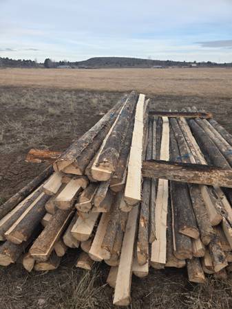 Lodgepole split rails 1