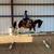 Broke Paint gelding 3 thumbnail