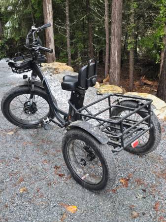 Emojo Electric 3 Wheel Bike 1