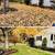Fall Cleanups Booking Fast! 6 thumbnail