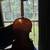 Karl Meisel Model 6110 Violin 

 3 thumbnail