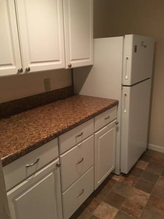$925 / 1br - 650ft2 - Castle Court 17- 1 Bedroom Apt in Midtown with hard wood floors (Midtown)63681677491969121