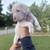 Pitbull puppy 2 thumbnail