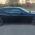 2013 Dodge Challenger R/T Plus - Manual 6 Speed 17 thumbnail