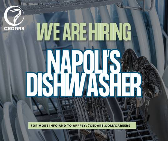 Napolis Dishwasher 1