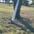 Deer feeder turkey feeder 2 thumbnail