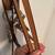 Horse Bridle NEW 3 thumbnail