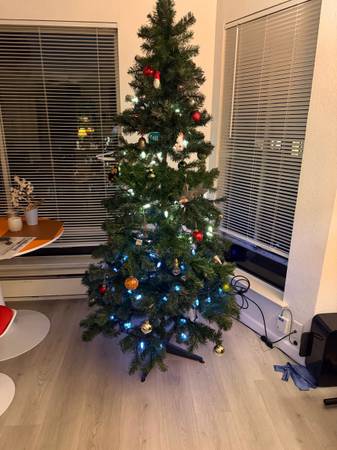 Christmas tree (no lights or ornaments) 1