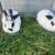 Bunny rabbits 2 thumbnail