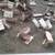 Firewood 4 thumbnail