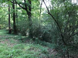 $35,000 / 20000ft2 - Lot in lake snow shore, ms. (Ashland, ms.)63761741895169124