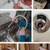 👋H A N D Y M A N🚩33+YExp✅️Home/Bus🚩PaintPlumbElectDoorWindwRoof✅ 7 thumbnail
