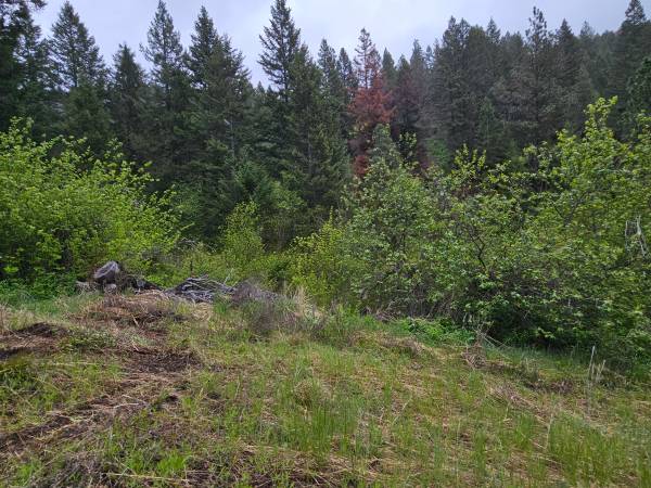 $299,000 / 2551745ft2 - Expansive property offers an unparalleled off-grid, self-sufficient (Florence)63953766286851120