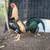 Gallos y gallinas 2 thumbnail