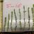 Anacharis aquarium stem plants 8 stems 5”-10” Long 1 thumbnail
