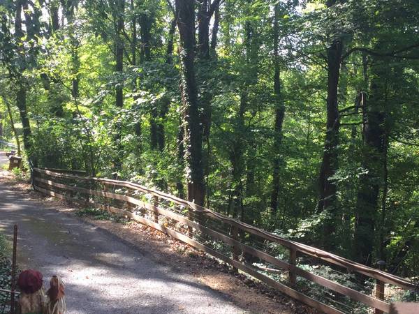 $145 / 2br - Old World Swiss Cabin Nestled In The Woods (Little Switzerland Rd Knoxville, TN)64148840300546124