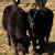 Angus heifers 2 thumbnail