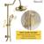 Clihome Brushed Gold Dual Head Shower Faucet, Brand new 6 thumbnail