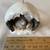 1st in series Snowshoe Rabbits in Winter Christmas holiday, nature art 11 thumbnail