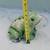 Large Vintage Concrete Frog 7 thumbnail