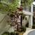 C. T. STRYKER Landscape Design, Maintenance and Horticultural service 3 thumbnail