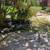 Garden care 8 thumbnail