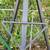 Tripod bow stand for sale 6’ and 8’ in Austin 2 thumbnail