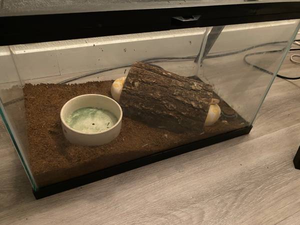 Terrariums for Sale $250 for both (napa county)63874129938947122