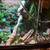 Ball python full setup with snake included 1 thumbnail