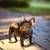 Blue French Bulldog Puppy 16 thumbnail