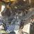 2005 CATERPILLAR 6500LBS 2 thumbnail