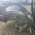 Auto brakes, starter, alternator, struts, Contact US *  612-389-8594* 6 thumbnail