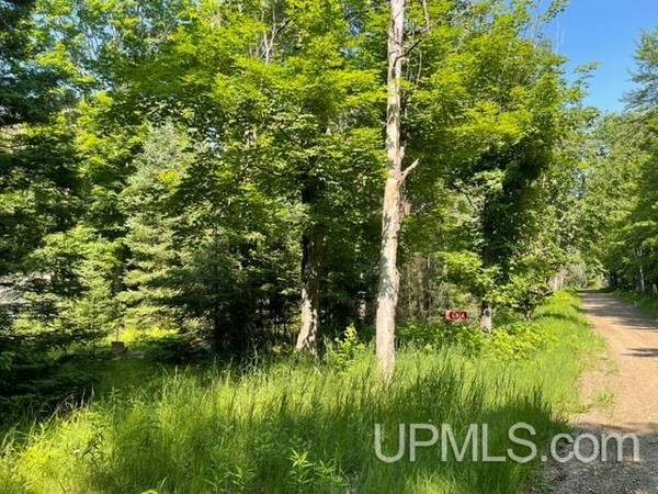 $22,000 .92 Almost an acre MLS 50186730 (Florence T-WI)64151610507139122