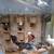 Mandarin ducks exotic wild waterfowl cold hardy! 18 thumbnail