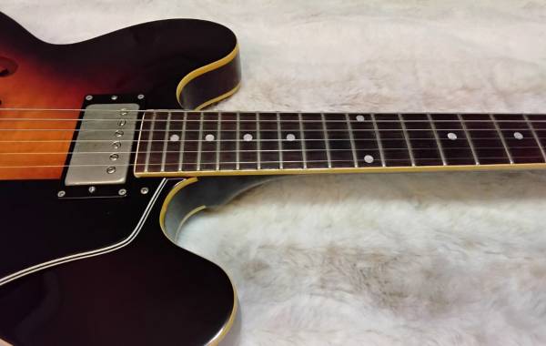 Burny RSA-100 1980s (Es-335) - musical instruments - by