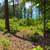 3 Acres in Clarksville, VA 3 thumbnail